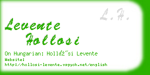 levente hollosi business card